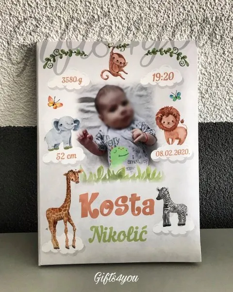 Proizvod Dečija Radosnica ZOO-2 Slika